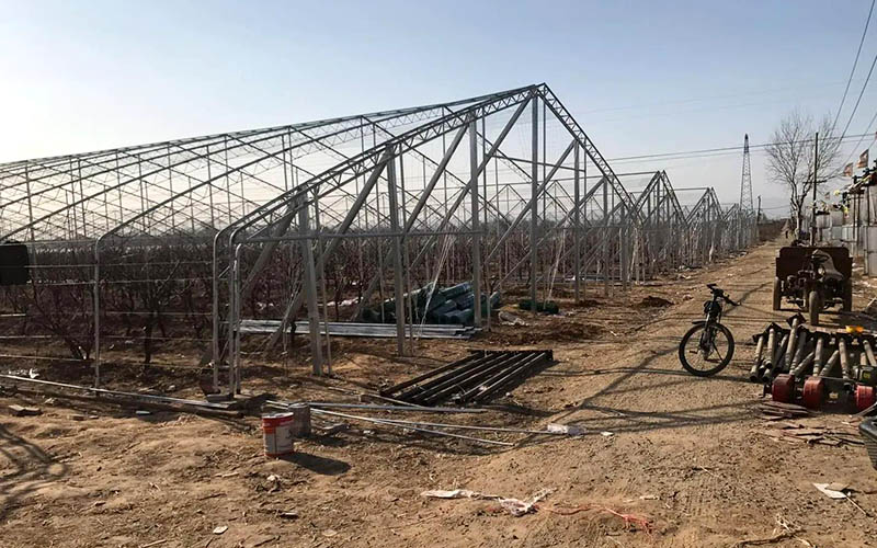 院子搭棚價(jià)格 院子搭棚價(jià)格