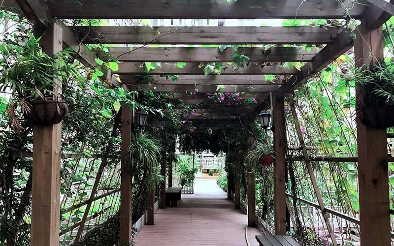 院子搭棚公司 院子搭棚公司